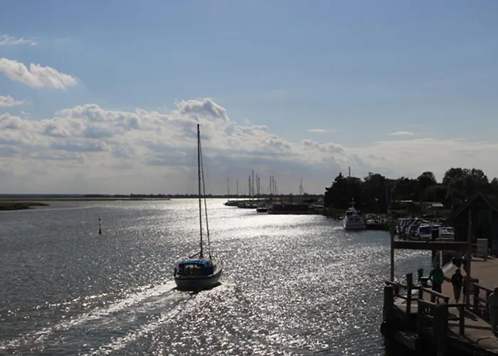 Morgentied, Fw 7 * Zingst