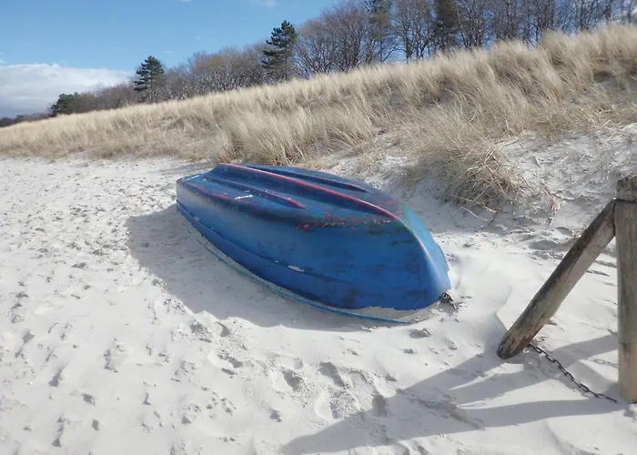 Morgentied, Fw 7 Zingst